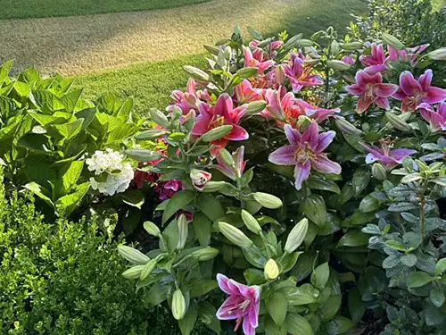 Landscaping Services, Travelers Rest, SC