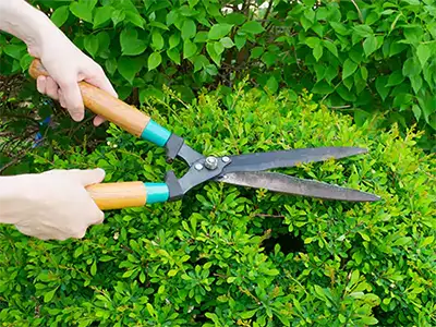 Landscape Management, Mauldin, SC