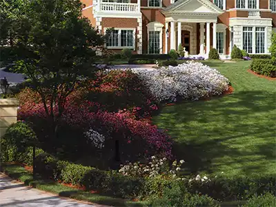 Plantings, Mauldin, SC