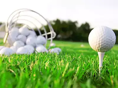 Residential Golf Amenities, Mauldin, SC